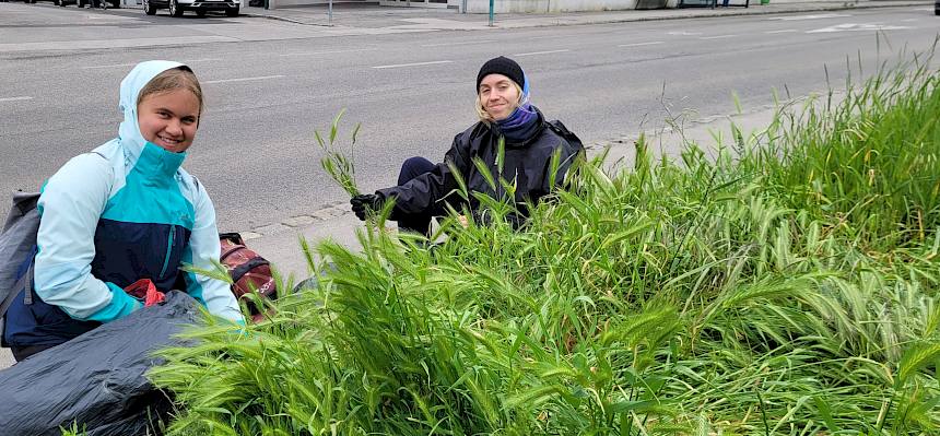 Durch das gezielte Entfernen entsteht wieder mehr Platz und Licht für Wildblumen, die eine wichtige Nahrungsquelle für Schmetterlinge, Wildbienen und viele weitere Insekten darstellen. © LPV/S. Wieser