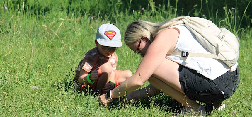 Gemeinsam mit unseren erfahrenen Naturvermittler:innen erkundeten interessierte Kinder und Eltern auch beim zweiten Termin der Veranstaltungsreihe „Naturforscher-Programm für Kinder" die artenreichen Naturwiesen im Begrischpark in Perchtoldsdorf. © LPV/F. Hohn
