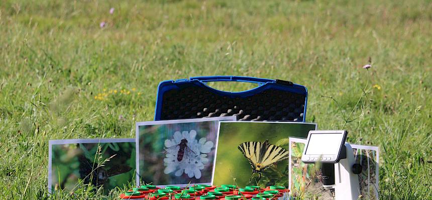Das kostenlose Programm bot Kindern ab 4 Jahren einen spannenden und spielerischen Einblick in die Vielfalt der heimischen Natur und zeigte eindrucksvoll, wie wichtig naturnahe Wiesen für den Erhalt der Artenvielfalt mitten im Siedlungsraum sind. © LPV/F. Hohn
