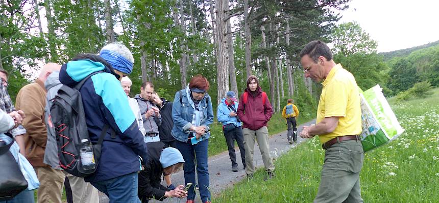 Spannende Entdeckungen bei der Trockenrasenexkursion auf der Perchtoldsdorfer Heide. © FdPH/N. Habellöcker