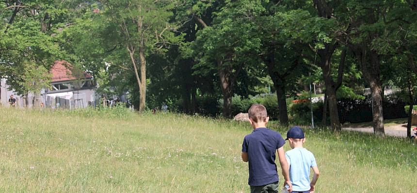 Die jungen Naturforscher:innen erkundeten die biologische Vielfalt im Begrischpark. © LPV/F. Hohn
