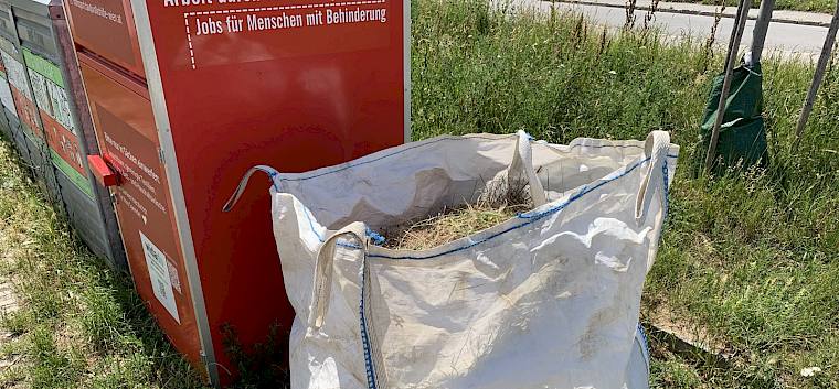 Das Pflanzematerial wird am Ende der Pflegetage von der Marktgemeinde Perchtoldsdorf abgeholt und entsorgt.  © LPV/S. Wieser
