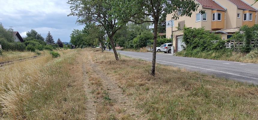 Insekten-Highway in der Wolfgang-Leeb-Gasse nach der Mahd. © LPV/J. FFischer