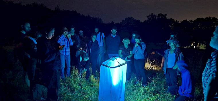 26 naturinteressierte Besucher:innen erkundeten heute im Rahmen einer Nachtexkursion die Tiere der Nacht auf der Perchtoldsdorfer Heide. © FdPH/A. Mrkvicka