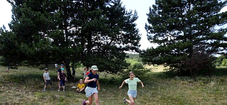 Beim Folien-Laufspiel ging es darum, sich möglichst viele Heide-Tiere zu merken und die richtige Folie für sein Team zu erlaufen. © FdPH