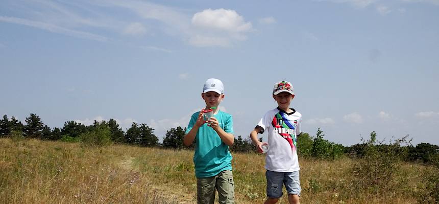 Am Nachmittag machten wir uns ausgerüstet mit Becherlupen auf den Weg zur Heide, um nach Insekten und Spinnen zu suchen. © FdPH