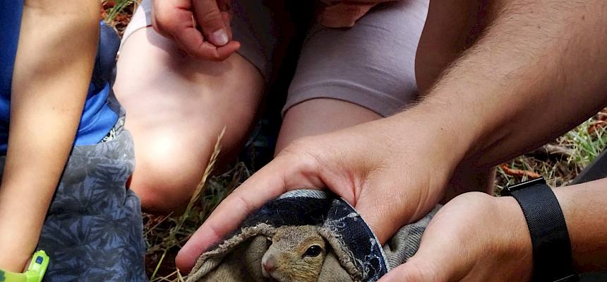Die Kinder durften aus nächster Nähe beobachten, wie die Tiere wissenschaftlich untersucht, vermessen, gewogen und anschließend wieder freigelassen wurden. © FdPH