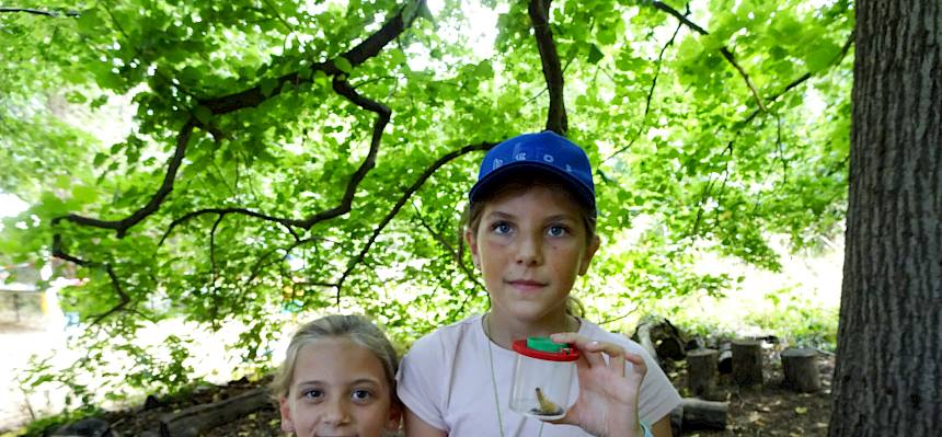 Diese haarige Raupe muss erst noch genauer bestimmt werden! Ob die jungen Forscher:innen im Insektenbuch die Antwort finden? © FdPH