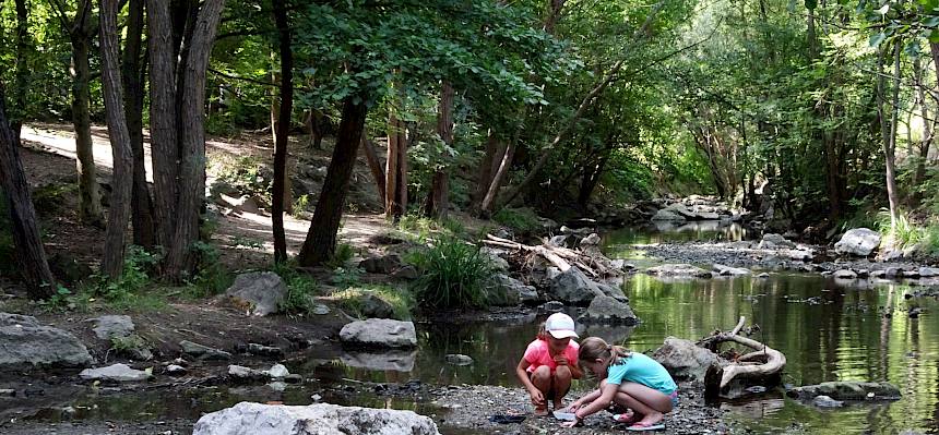 Ausgerüstet mit Keschern, Kübeln und Becherlupen machten sich die Kinder auf die Suche nach Wassertieren. © FdPH