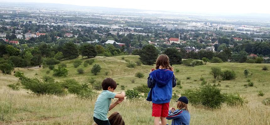Welche Insekten und Spinnen gibt es auf der Heide? Dieser Frage gingen die Kinder am Donnerstag nach. © FdPH