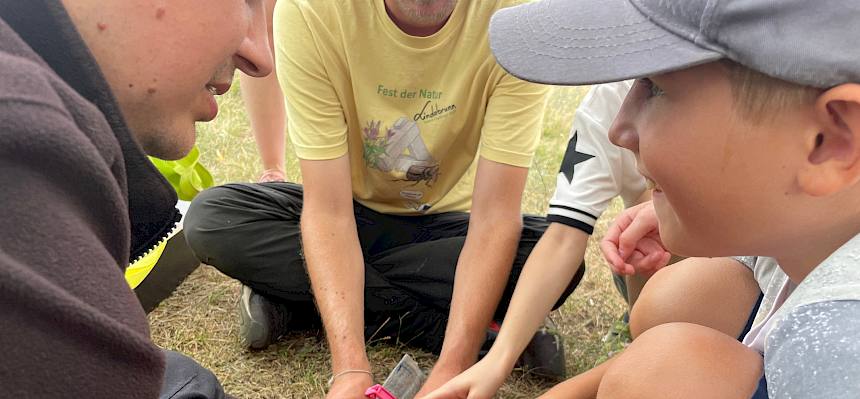 Die Kinder konnten hautnah miterleben, wie das Tier vorsichtig untersucht, vermessen und gewogen wurde, bevor es anschließend wieder in die Freiheit entlassen wurde. © FdPH/A. Lembke