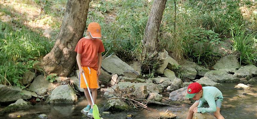 Junge Naturforscher:innen beim Erforschen des Liesingbaches. © FdPH/B. Sabek