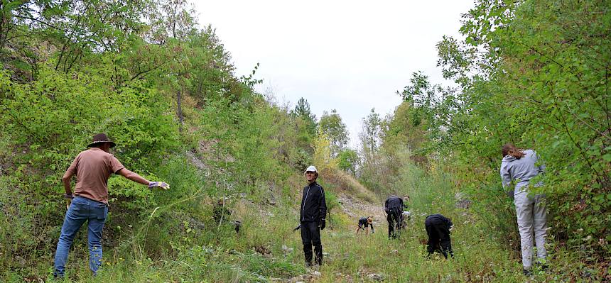 Danach ging es motiviert an die Arbeit. Ausgerüstet mit Arbeitshandschuhen und Müllsäcken wurden unzählige invasive Goldruten ausgerissen. © LPV/L. Strobl