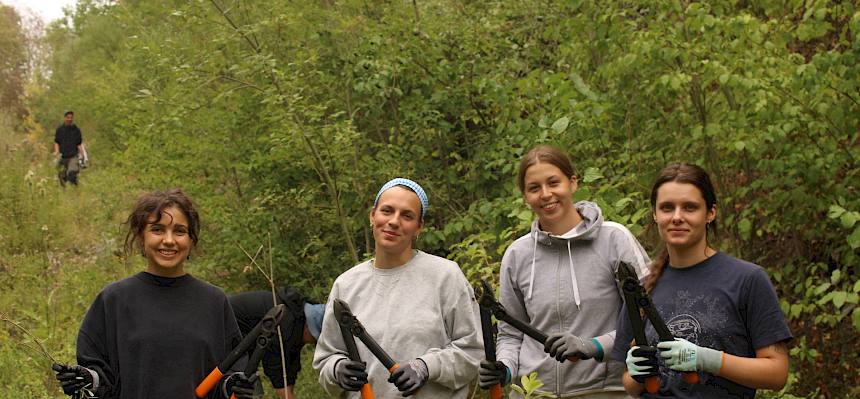 Beim heutigen Pflegeeinsatz im Naturschutzgebiet Teufelstein-Fischerwiesen stand die Entfernung der invasiven Goldruten und der Rückschnitt von Weiden im Vordergrund. © LPV/F. Hohn
