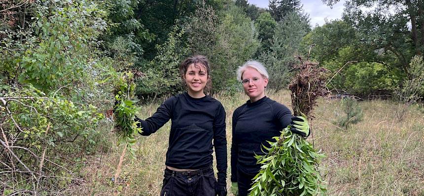 Neun Praktikant:innen des Landschaftspflegevereins waren heute, angeleitet von Biologe Felix, auf verschiedene Naturflächen rund um das Naturschutzgebiet Teufelstein-Fischerwiesen in Kaltenleutgeben aktiv. Ein Fokus lag auf der Enfernung der invasiven Goldruten. © LPV/H. Straubinger