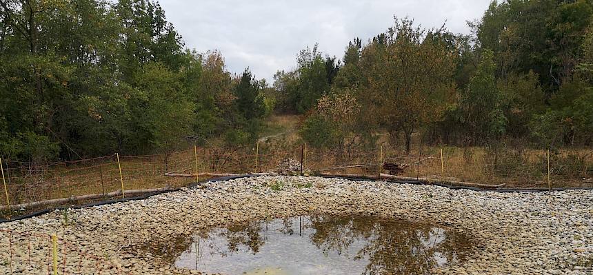 Auch rund um den im März neu angelegten Amphibientümpel wurden Pflegemaßnahmen durchgeführt. © LPV/F. Hohn