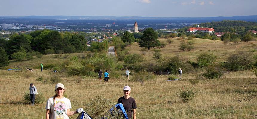 Wegtragen von stacheligem Schnittgut im Zieselschutzgebiet. © FdPH/A. Mrkvicka