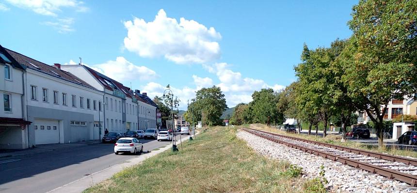 Insgesamt 18 Grünflächen in Perchtoldsdorf bilden im Rahmen des Projekts „Insekten-Highway" ein Netzwerk aus blütenreichen Wiesenflächen, das als wichtiger Lebensraum und „Trittstein“ für viele Fluginsekten dient. © LPV/N. Elek