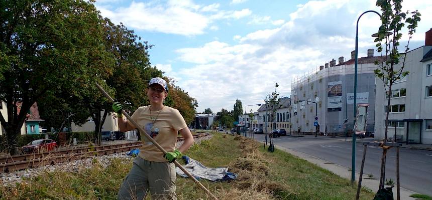 Am Flächenrand entstanden zwei große Haufen, die im Anschluss an die Pflegearbeiten von der Marktgemeinde Perchtoldsdorf abtransportiert werden. © LPV/N. Elek