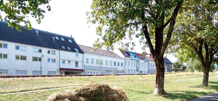 Schnittguthaufen. © LPV/N. Elek