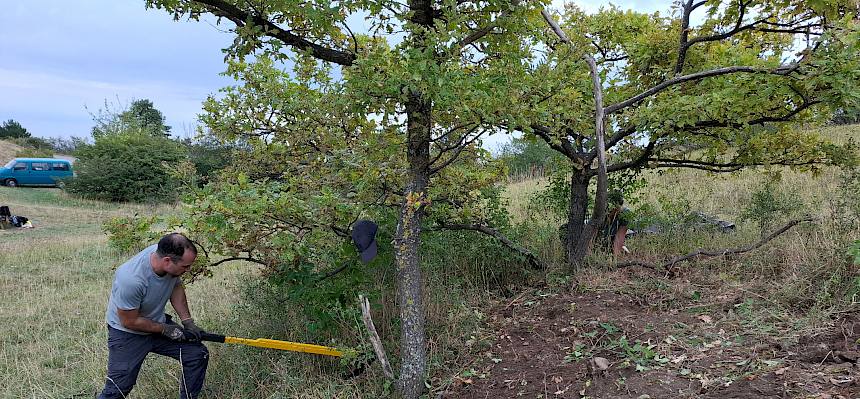 Mit dem Tree Popper konnten wir eine große Fläche von wucherndem Fliedergebüsch befreien. © FdPH/A. Mrkvicka