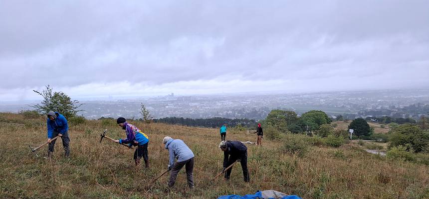 Rund um den Aussichtspunkt auf der Großen Heide - mit tollem Blick auf Wien - sind viele kleine Blutrote Hartriegel auszuhacken. Mehrmals zieht ein Schauer durch.© FdPH/A. Mrkvicka