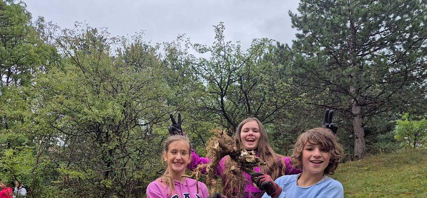 Dicke Stöcke werden mit dem Tree Popper herausgehebelt. © FdPH/B. Rödlich