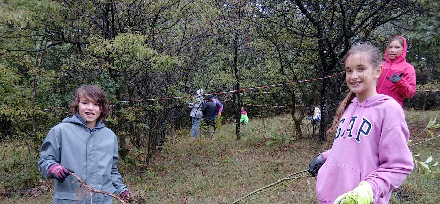 Auch lange Ausläufer lassen sich mit dem Tree Popper gut ausreißen. © FdPH/F. Hohn