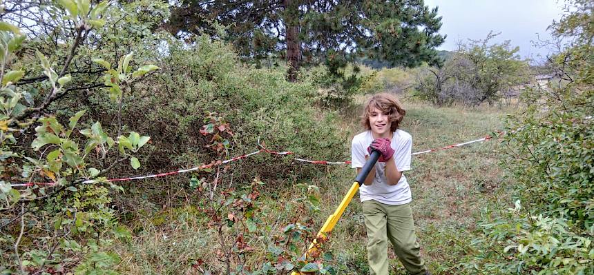 Mit dem Tree Popper beim Büsche ausreißen. © FdPH/F. Hohn