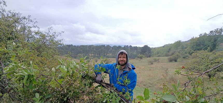 Die Barriere schirmt wertvolle Bereiche vor Betritt ab. © FdPH/F. Hohn