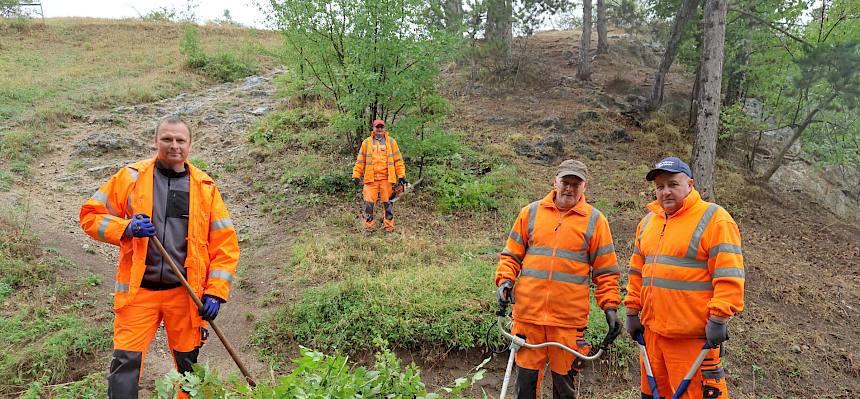 Das Team des Wirtschaftshofs Perchtoldsdorf im Einsatz für die Heidepflegewoche. © FdPH/A. Mrkvicka