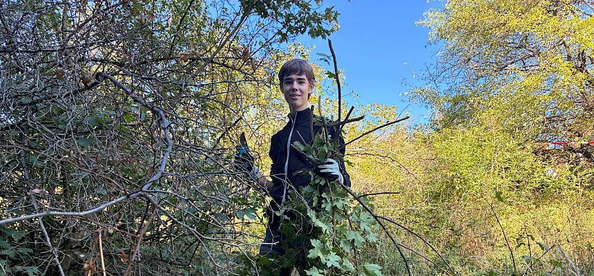Im Kröpfgraben auf der Kleinen Heide wird der Südhang entbuscht. © FdPH/A. Lembke