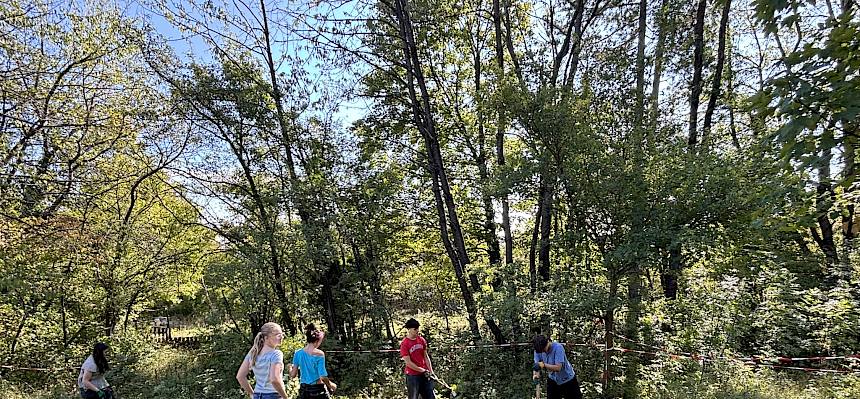 Auf der Sewerawiese werden zahlreiche kleine Büsche ausgehackt.  © FdPH/L. Wollny