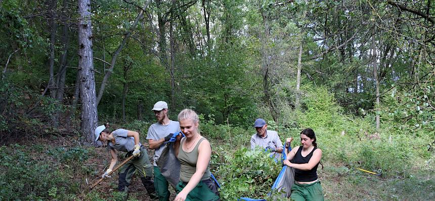 Im Saugraben wurden die Gebüsche am Waldrand zurückgesetzt, damit Schäferin Christa Veits den Zaun für die Beweidung aufstellen kann. © FdPH/L. Strobl