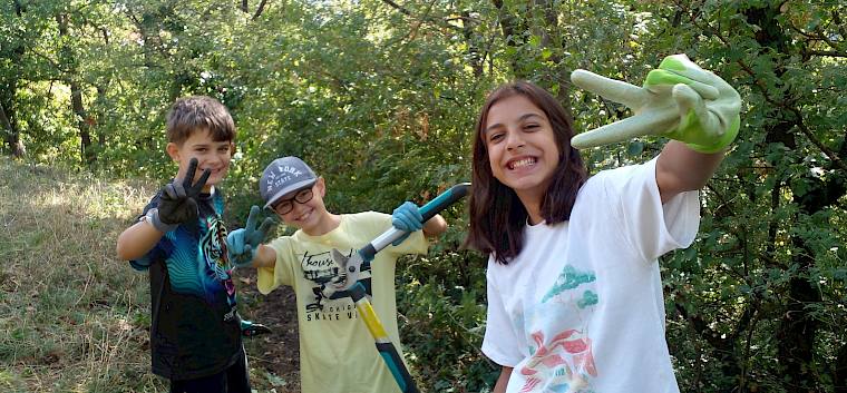 Heute waren insgesamt 155 Schüler:innen des BG/BRG Perchtoldsdorf gemeinsam mit unseren Naturvermittler:innen im Naturdenkmal Hochberg im Einsatz. © FdPH/N. Elek