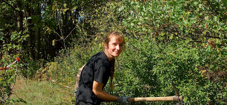 Auch große Liguster-Büsche können mit dem Krampen sehr gut dauerhaft entfernt werden. © FdPH/I. Drozdowski