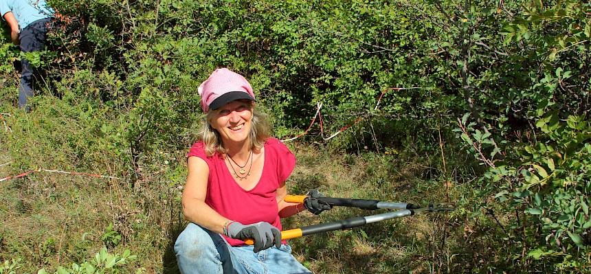Die Gehölze werden sehr gezielt entfernt - wie hier die ausläufertreibende Hybridweichsel aus einer wertvollen Hecke, damit die erwünschten Gebüscharten mehr Platz haben. © FdPH/I. Drozdowski