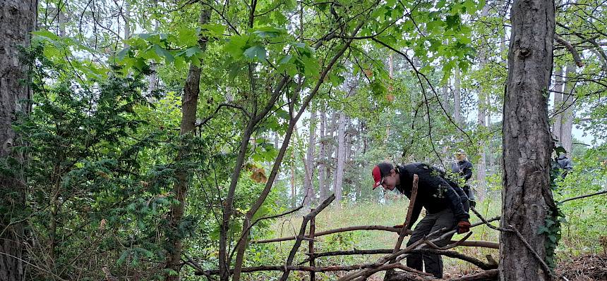 Mit Holz werden unerwünschte kleine Durchgänge in der Hecke blockiert, damit nicht zu viele kleine Wege entstehen. © FdPH/A. Mrkvicka