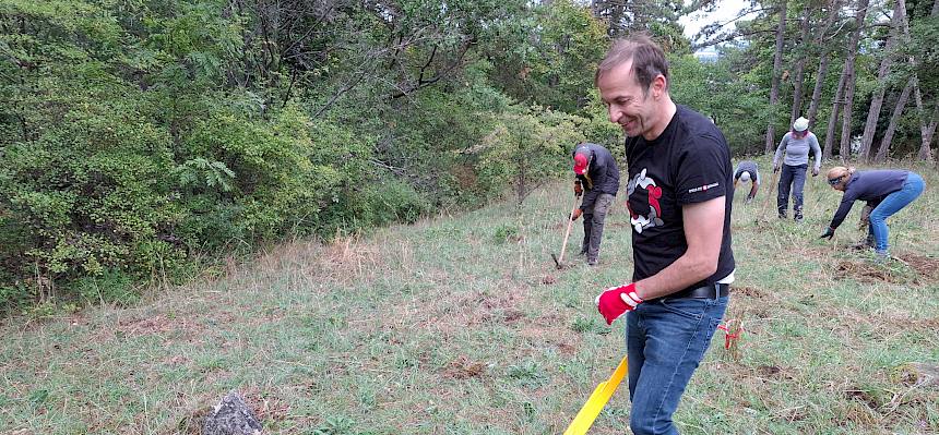 Wo der Krampen nicht stark genug ist kommt der Tree Popper zum Einsatz. © FdPH/A. Mrkvicka