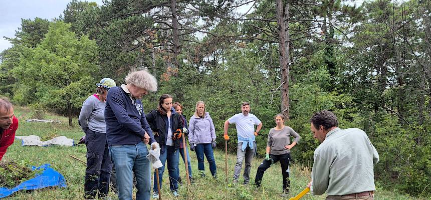 Unser Biologe zeigt die Verwendung des Tree Poppers zum nachhaltigen Entfernen von Gebüschen mit stärkeren Wurzelstöcken. © FdPH/B. Rödlich
