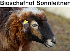 Logo Bioschafhof Sonnleitner